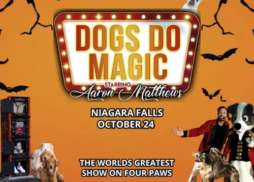 Canine Circus Presents: Dogs Do Magic