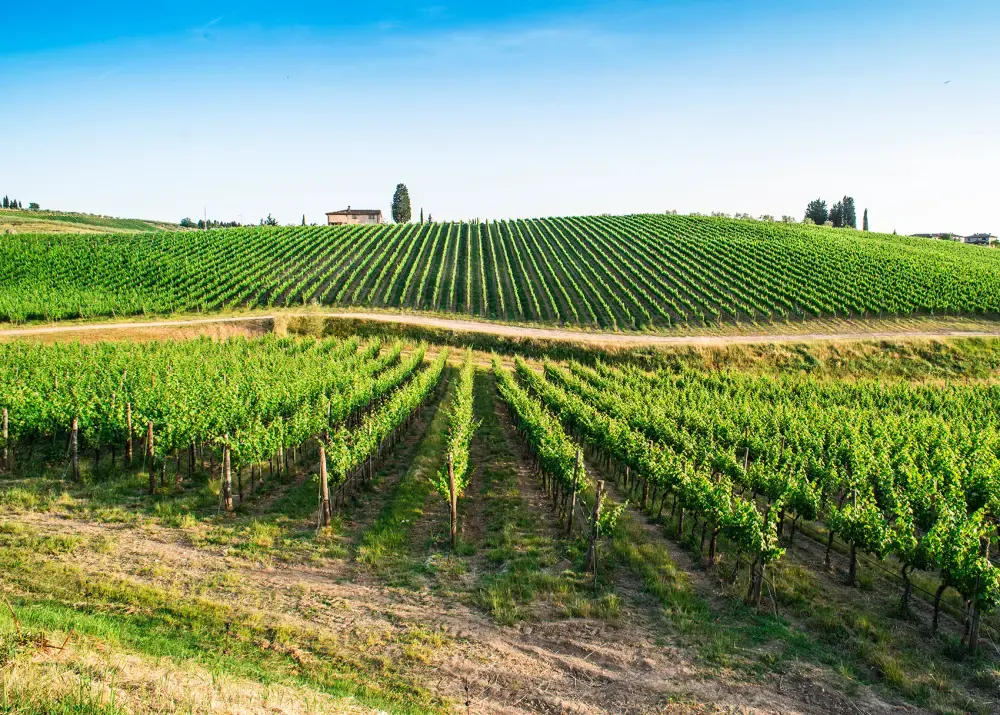 Niagara Wine Country